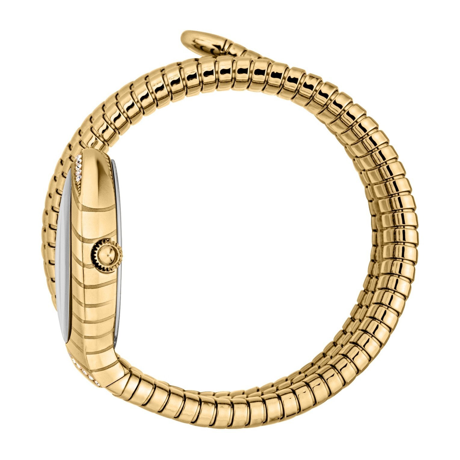 Ladies Classico Lungo Watch JC1L248M0025 Just Cavalli