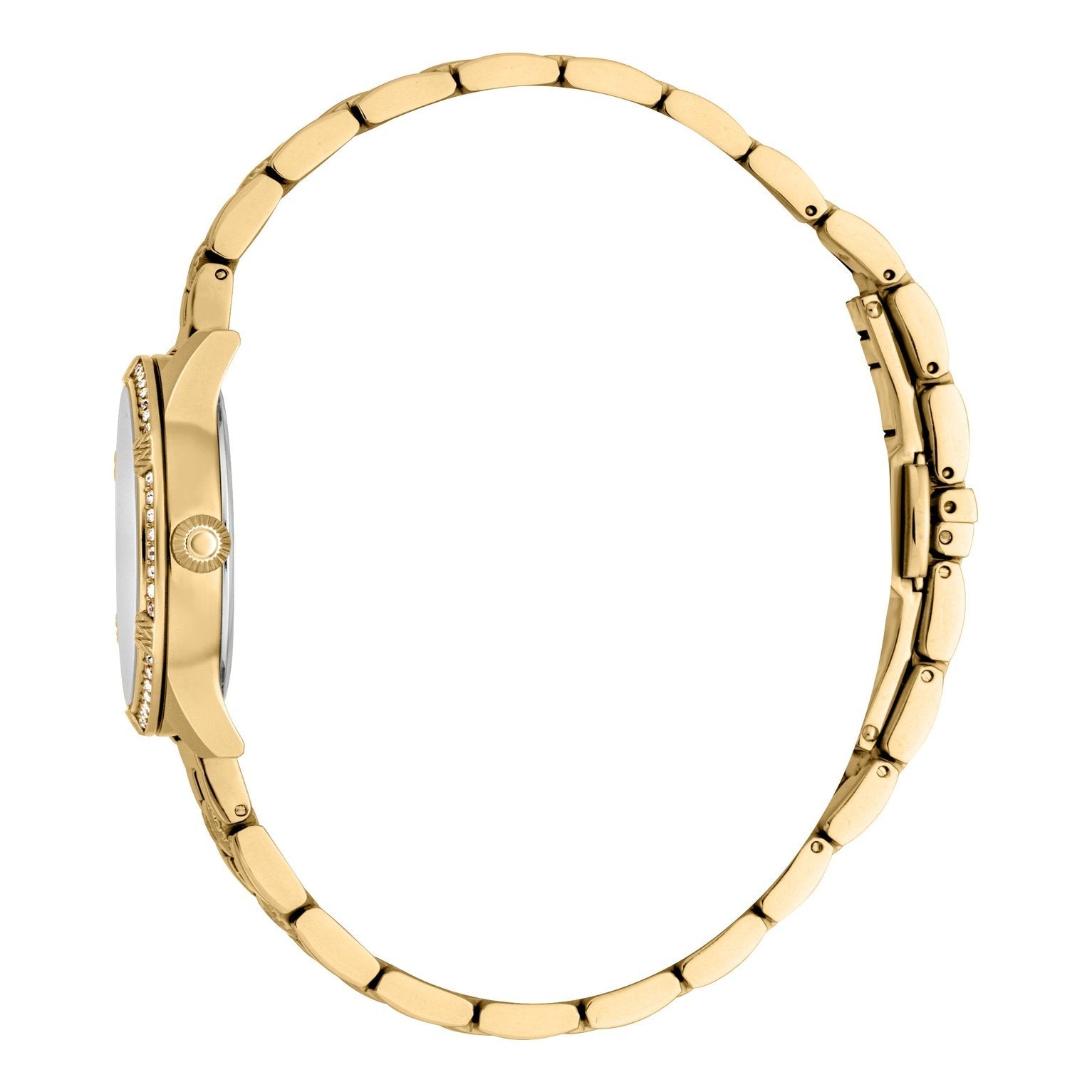 Ladies Docile Watch RC5L032M0055 Roberto Cavalli