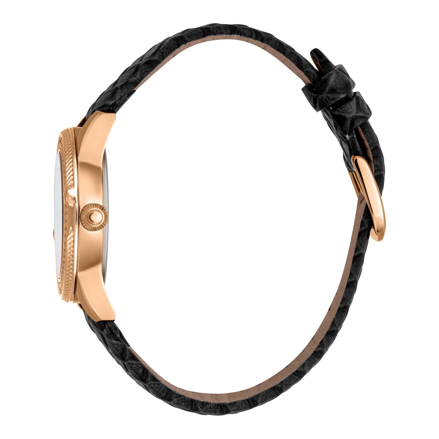 Ladies Foggia Watch RC5L063L0035 Roberto Cavalli