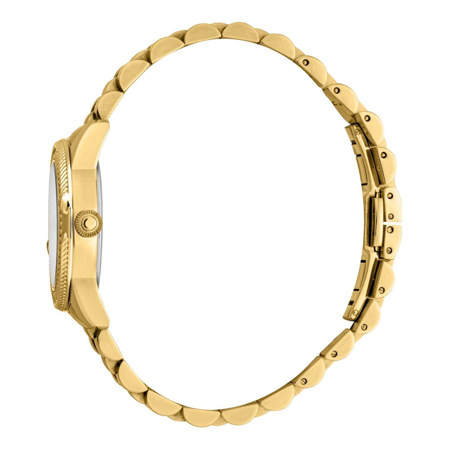 Ladies Foggia Watch RC5L063M0055 Roberto Cavalli