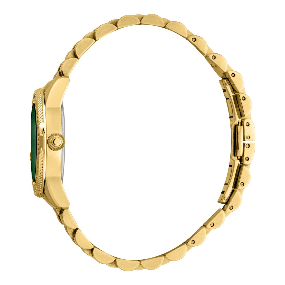 Ladies Foggia Watch RC5L063M0065 Roberto Cavalli