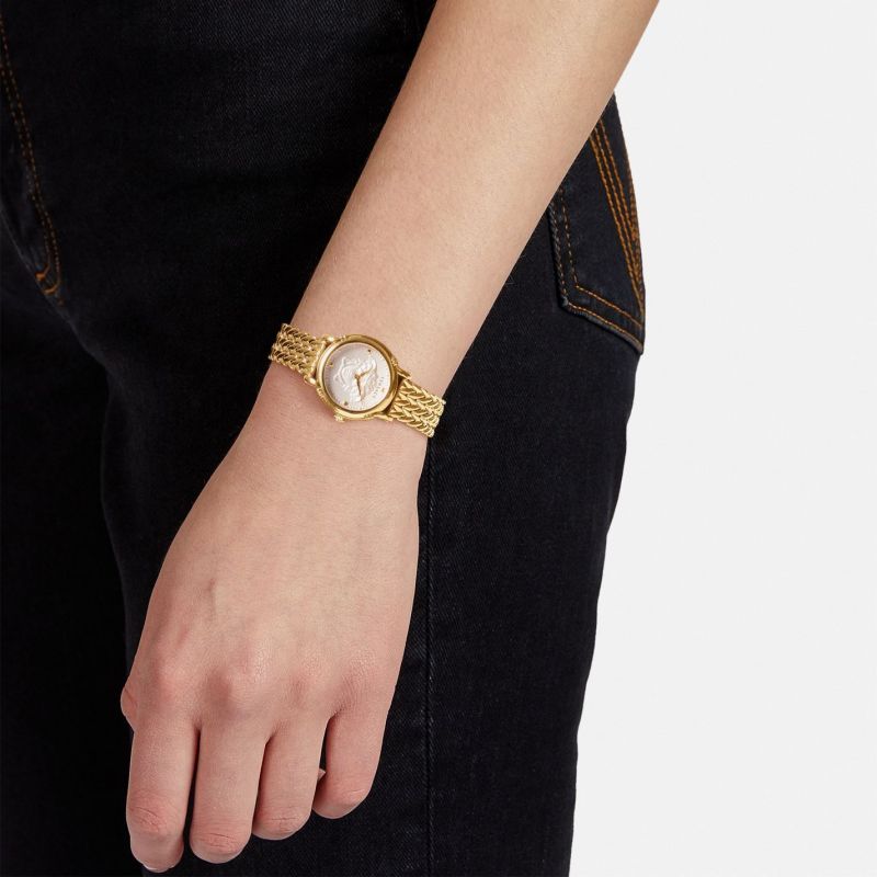 Ladies Pin Watch VEPN00520 Versace