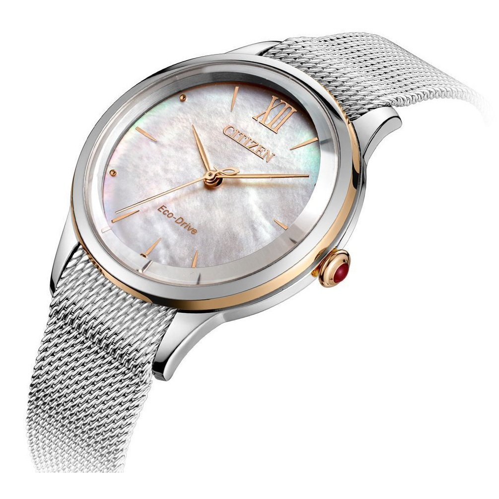 Ladies Eco-Drive Watch EM0816-88Y Citizen