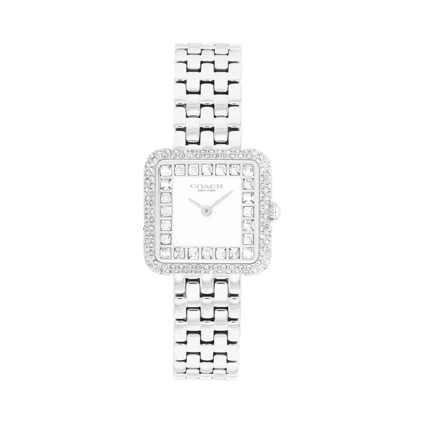 Ladies Cass Watch (14504558)
