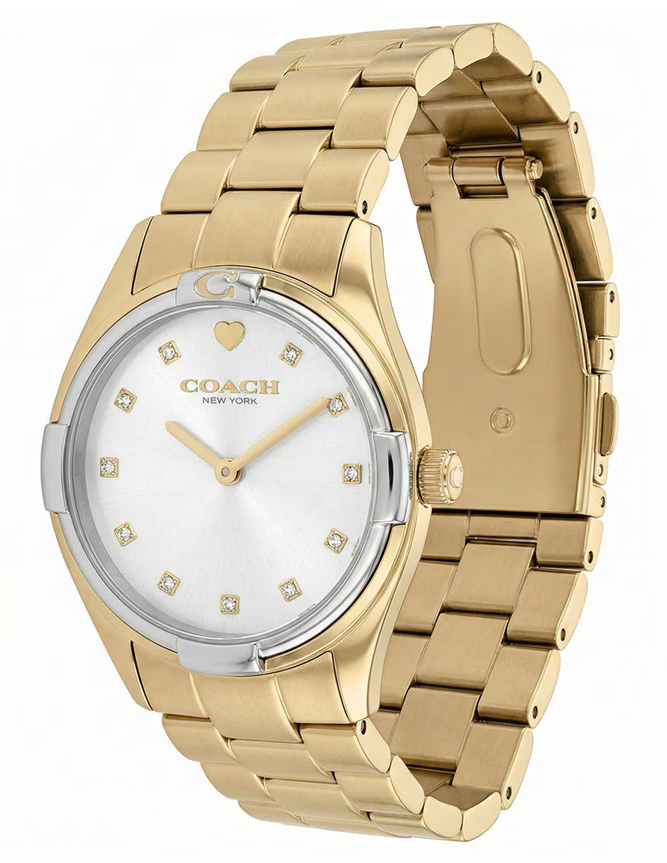 Ladies Brooks Watch (14504667)