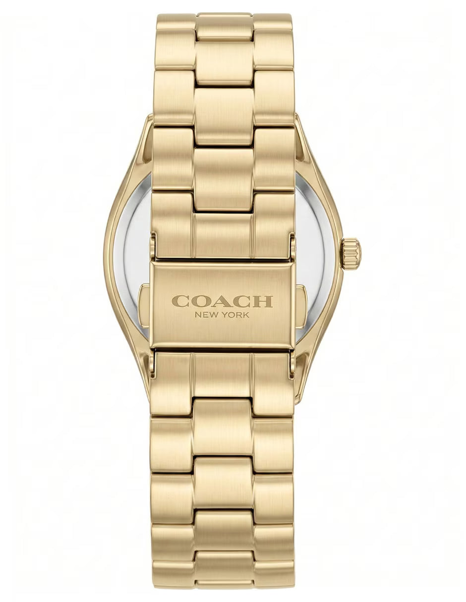 Ladies Brooks Watch (14504667)