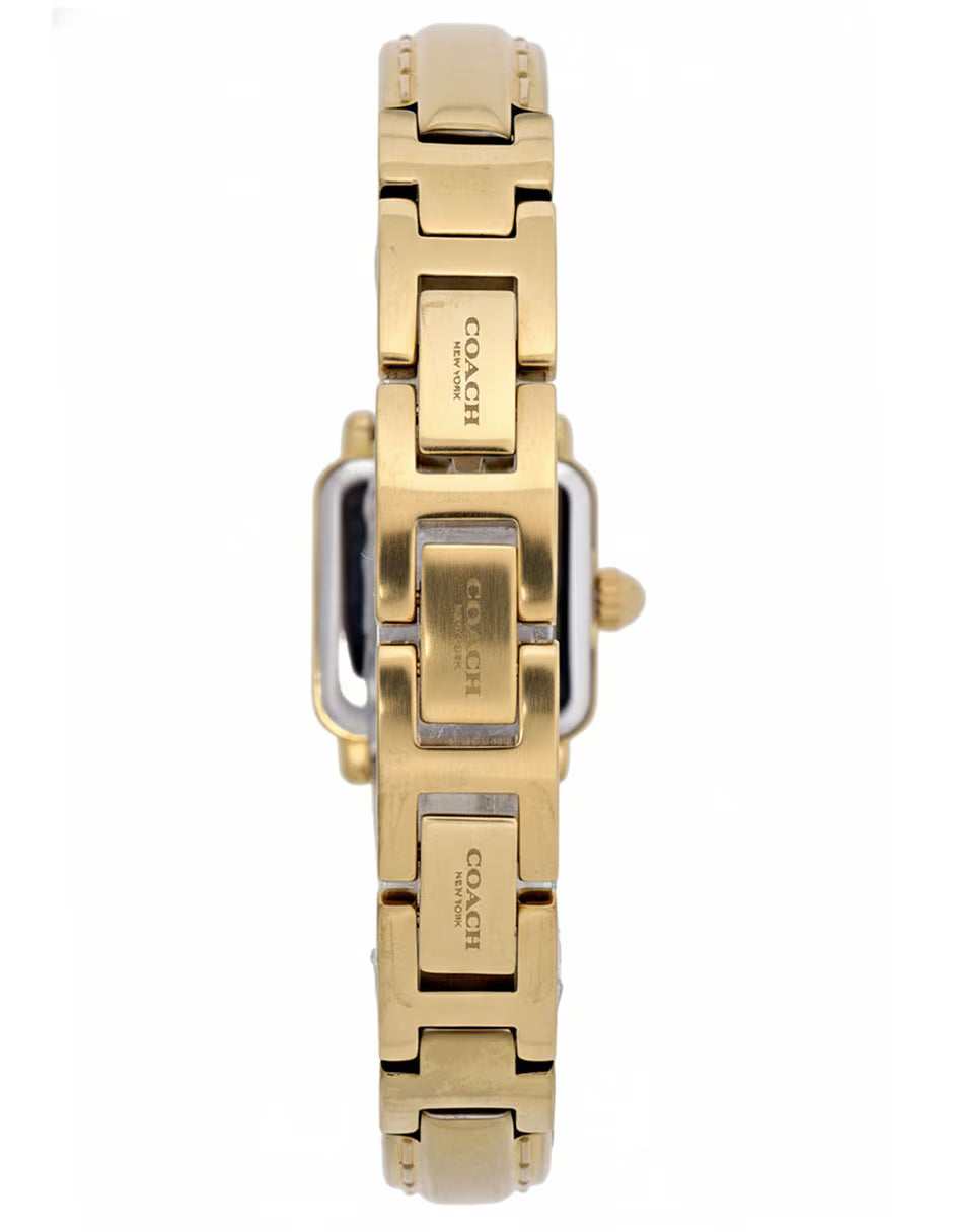 Ladies Cass Watch (14504669)