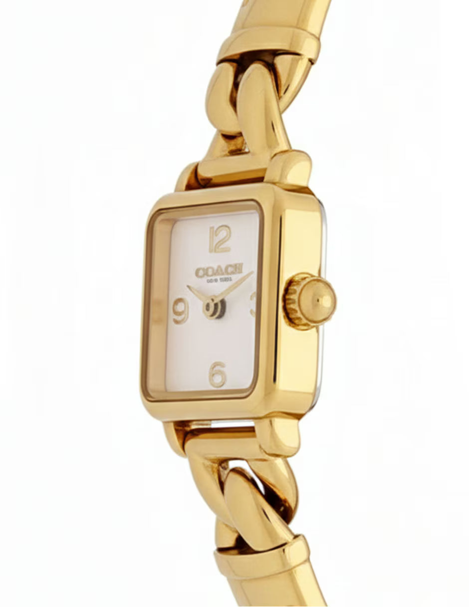 Ladies Cass Watch (14504669)