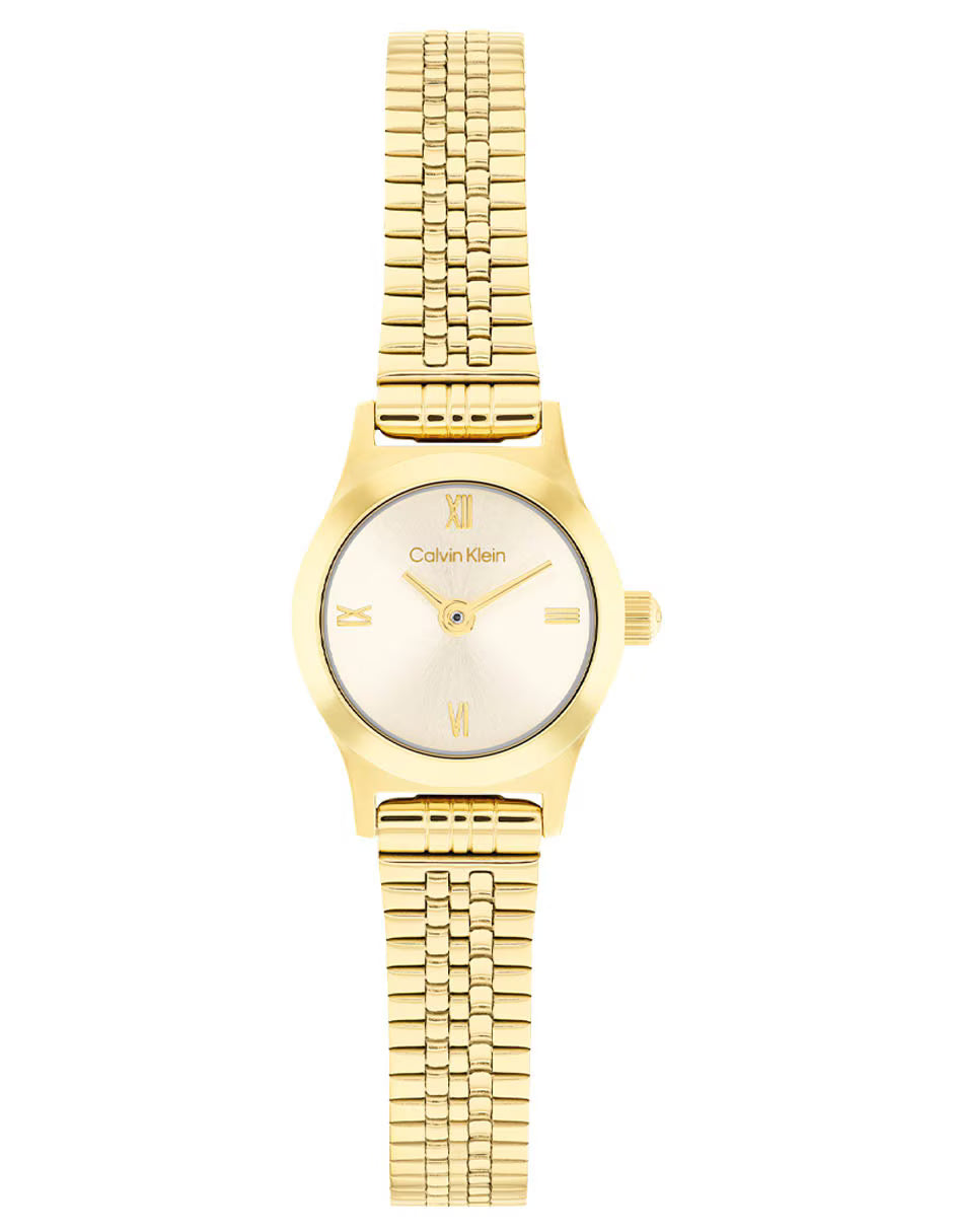 Ladies Contemporary Watch (25100201)