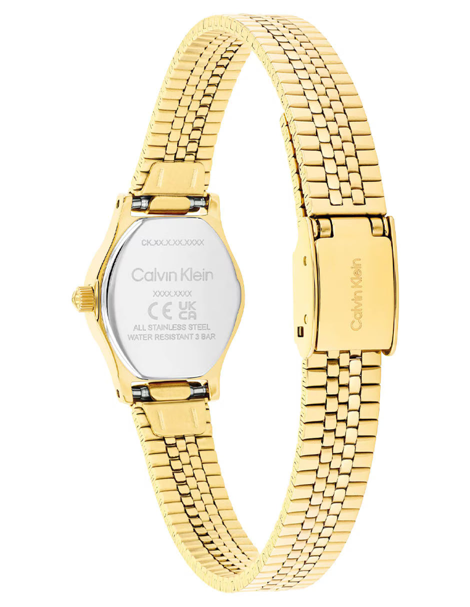 Ladies Contemporary Watch (25100201)