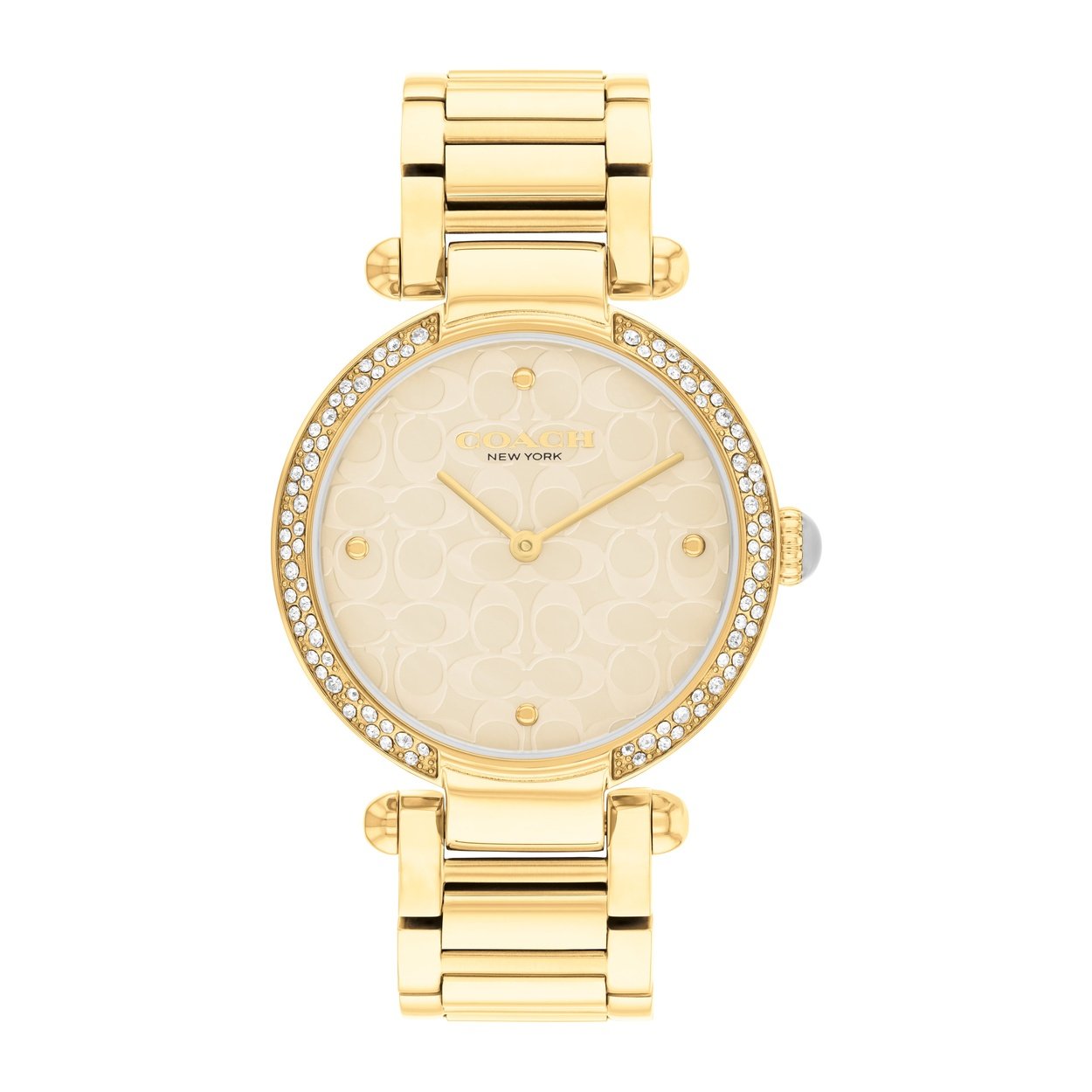 Ladies Cary Watch (14504183)