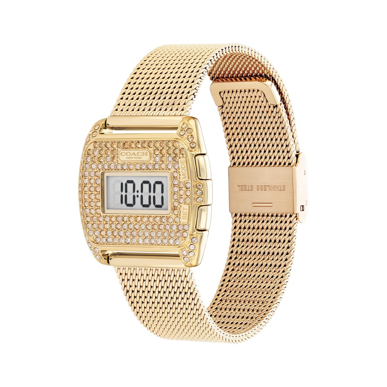 Ladies Darcy Watch (14504238).