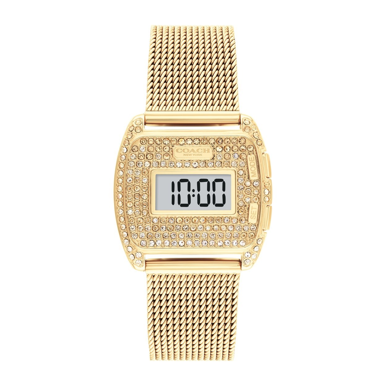 Ladies Darcy Watch (14504238).