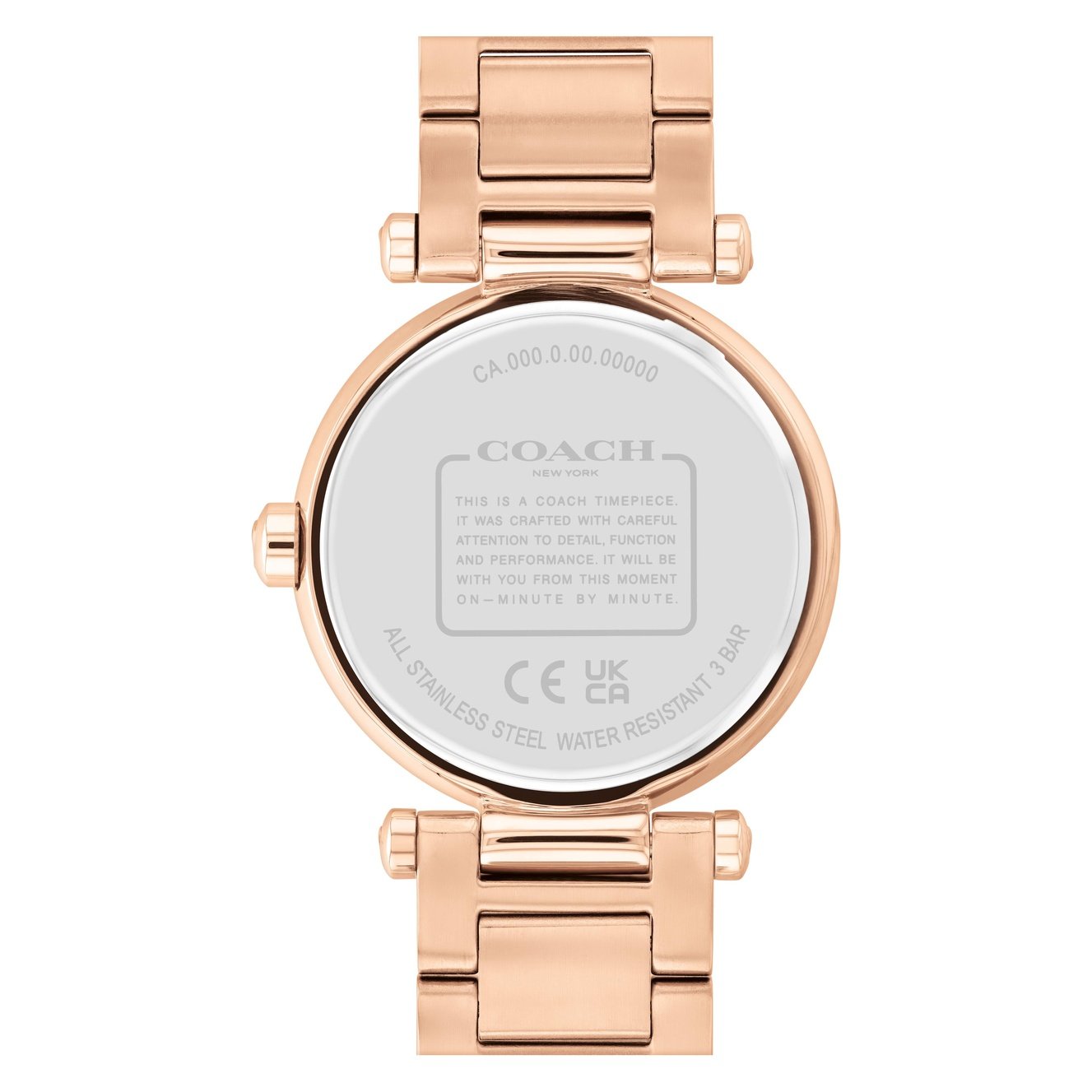 Ladies Cary Watch (14504254)