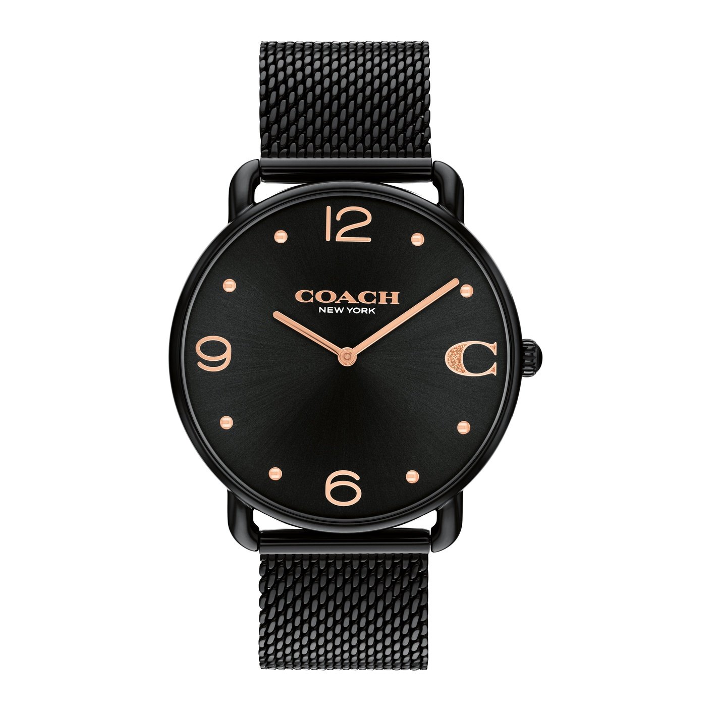 Ladies Cary Watch (14504256)