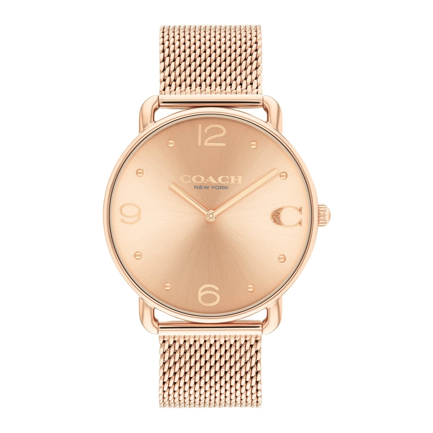 Ladies Cary Watch (14504259)