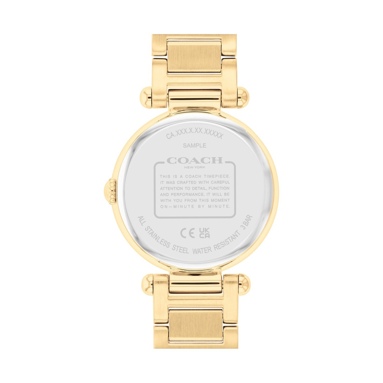 Ladies Cary Watch (14504265)