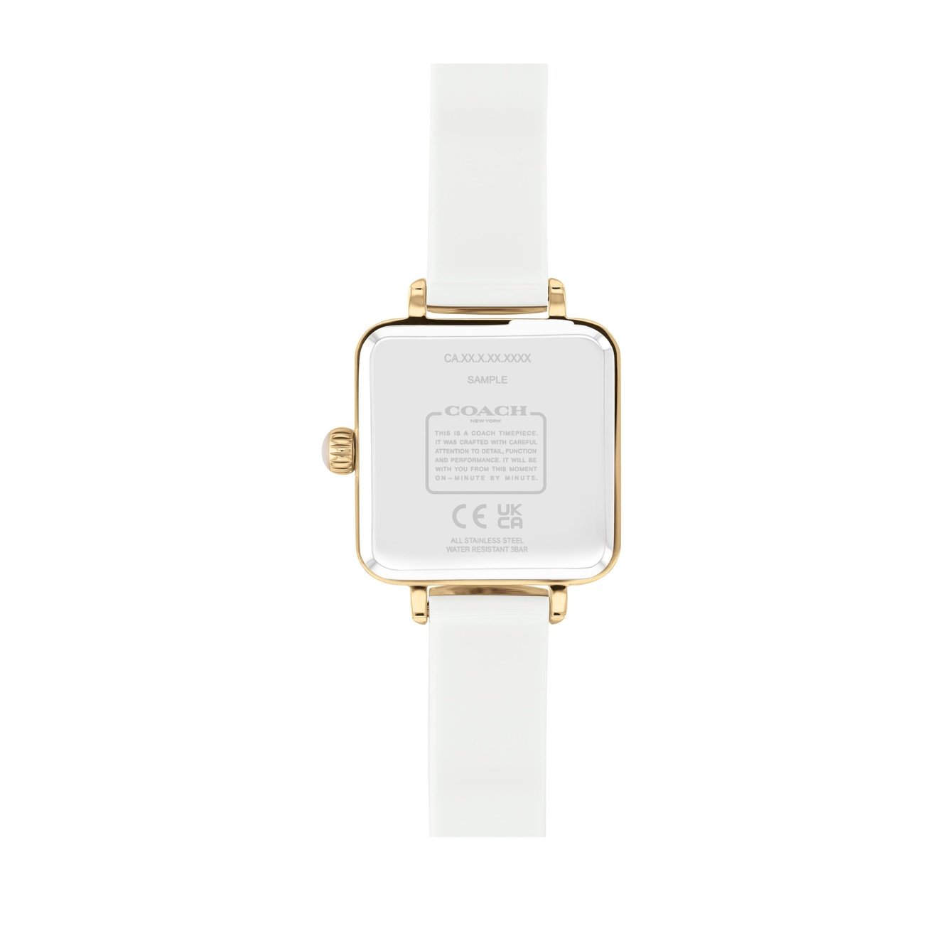 Ladies Cass Watch (14504308)