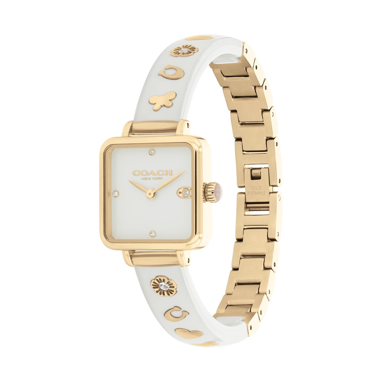 Ladies Cass Watch (14504308)