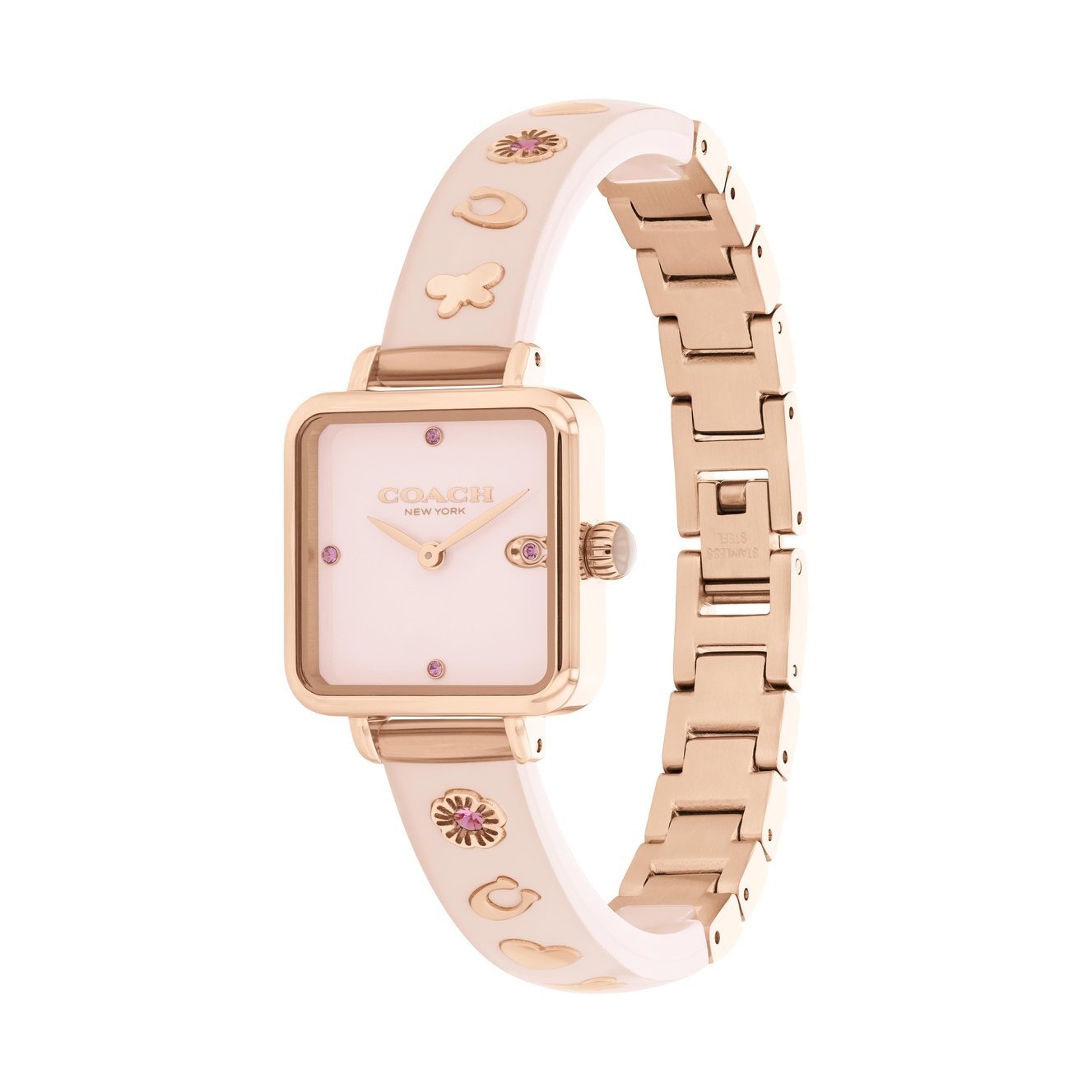 Ladies Cass Watch (14504309)