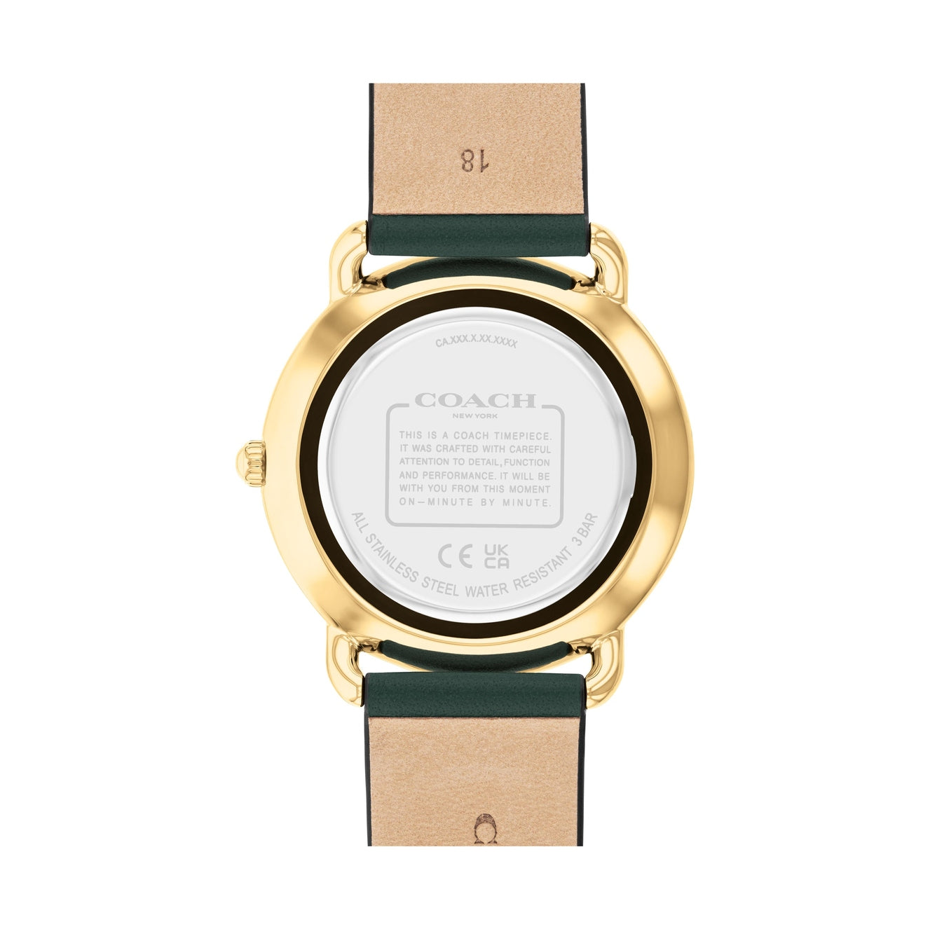 Ladies Elliot Watch (14504377)