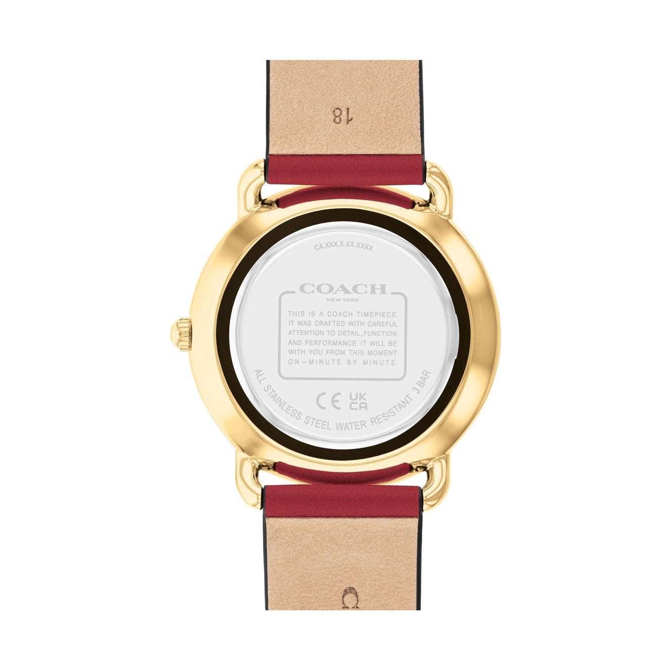 Ladies Elliot Watch (14504378)