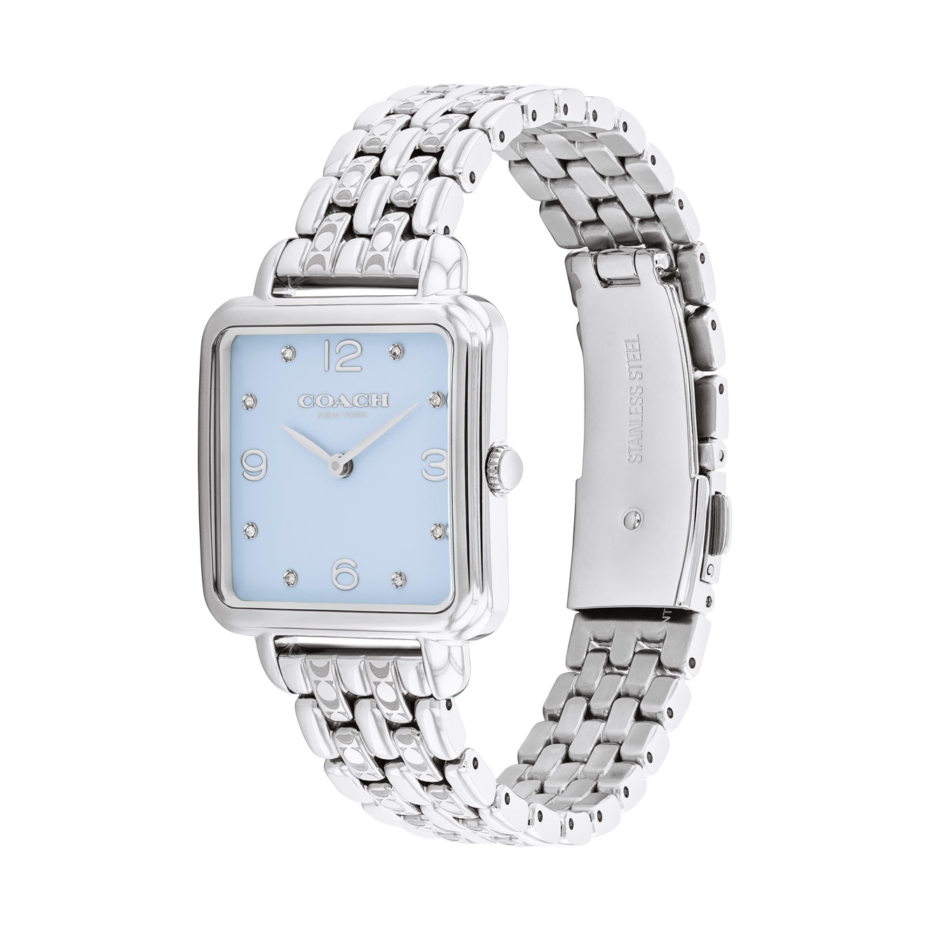 Ladies Cass Watch (14504494)