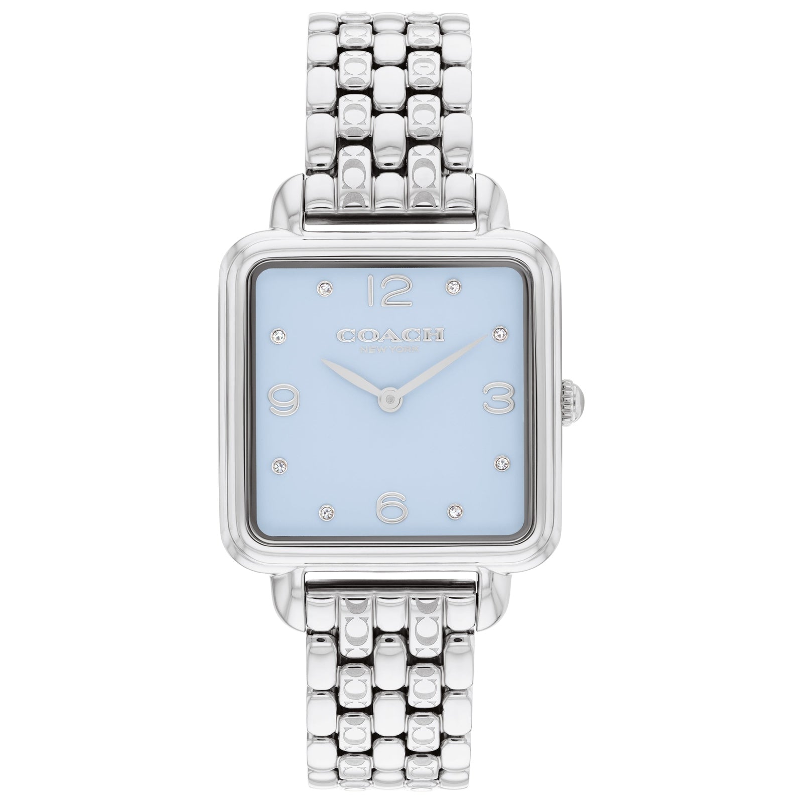 Ladies Cass Watch (14504494)