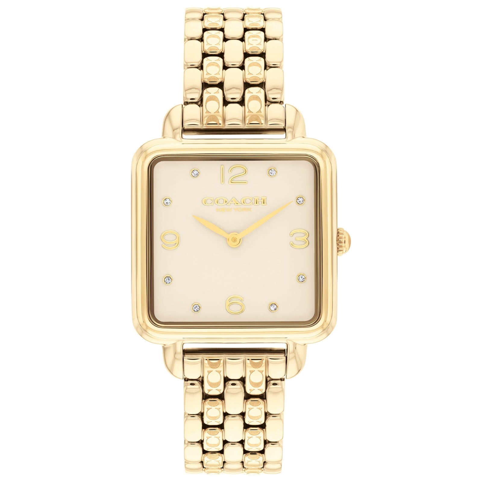 Ladies Cass Watch (14504495)