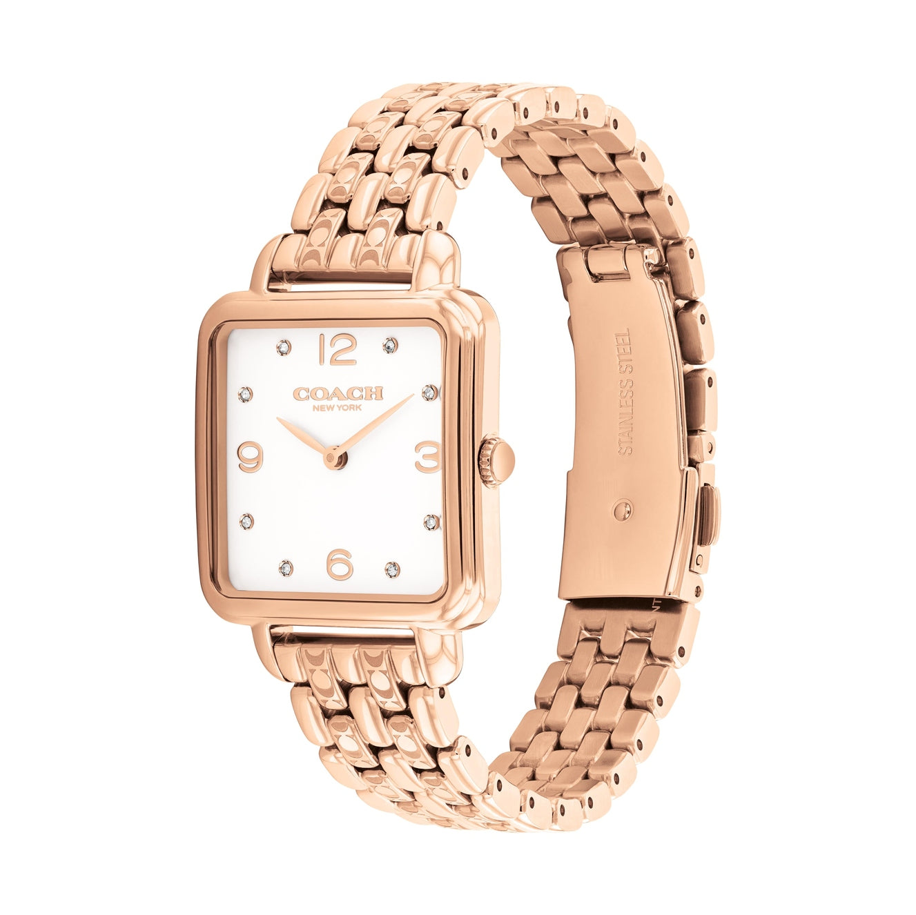 Ladies Cass Watch (14504532)