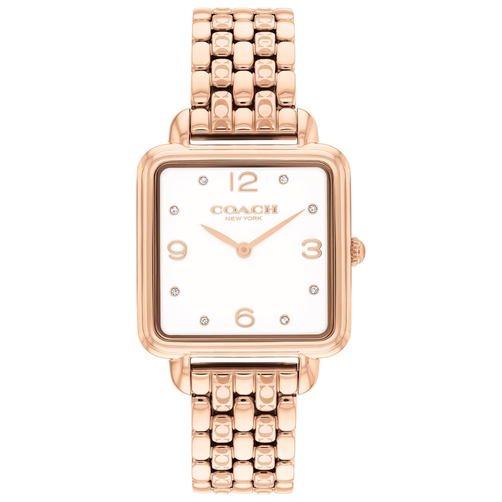 Ladies Cass Watch (14504532)