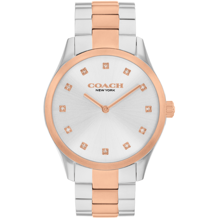 Ladies Brooks Watch (14504537)