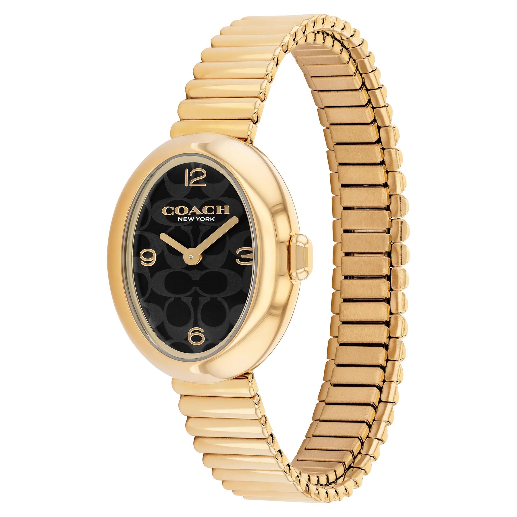 Ladies Sammy Watch (14504571)