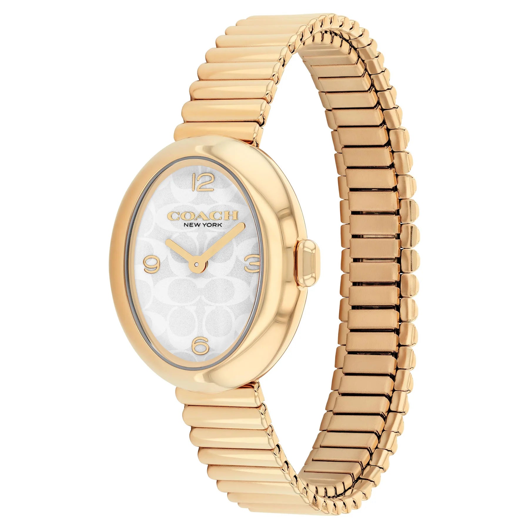 Ladies Sammy Watch (14504573)
