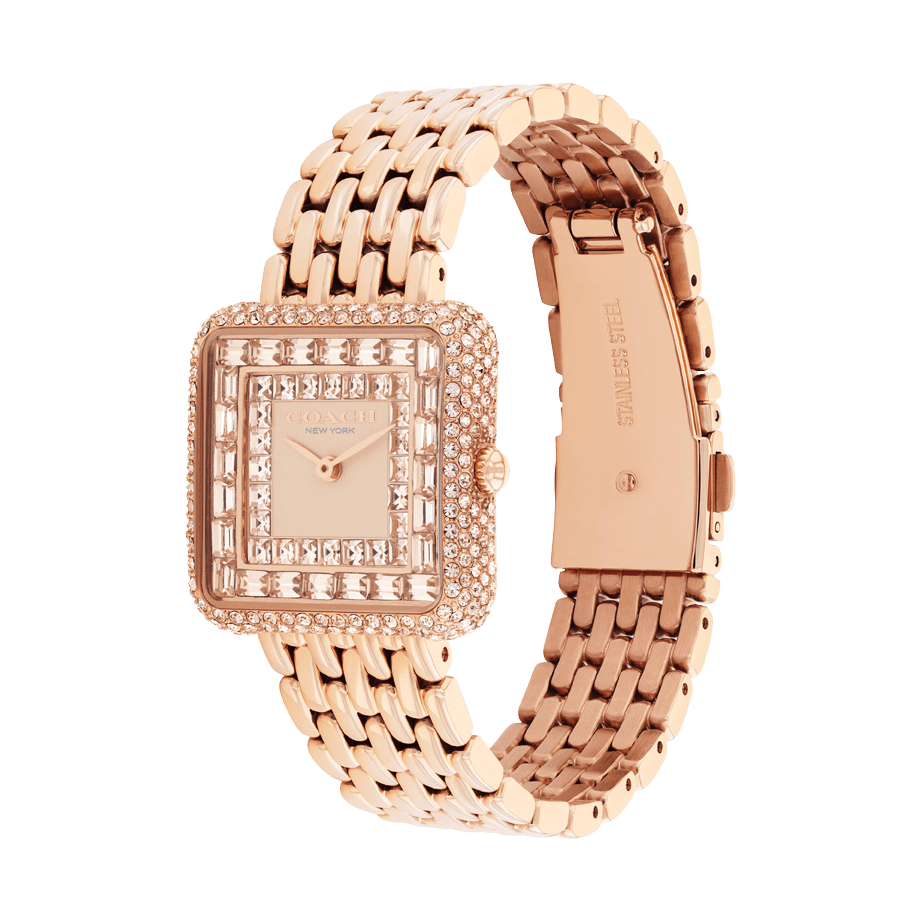 Ladies Cass Watch (14504577)
