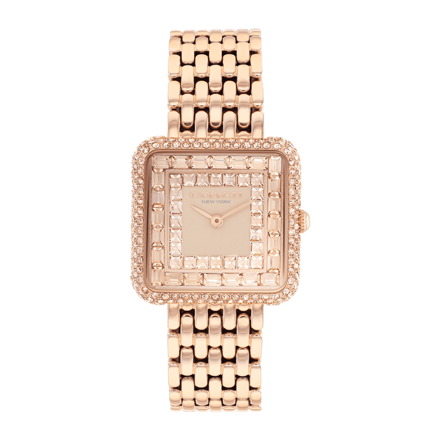 Ladies Cass Watch (14504577)