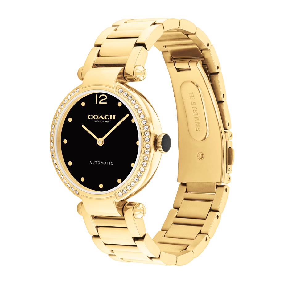 Ladies Cary Watch (14504579)