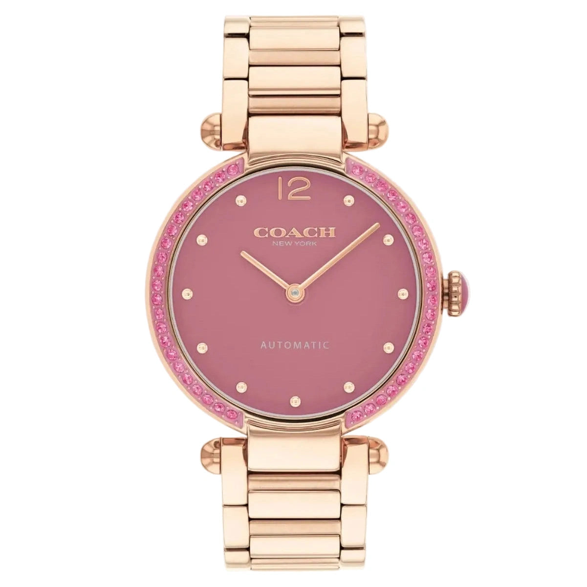 Ladies Cary Watch (14504581)