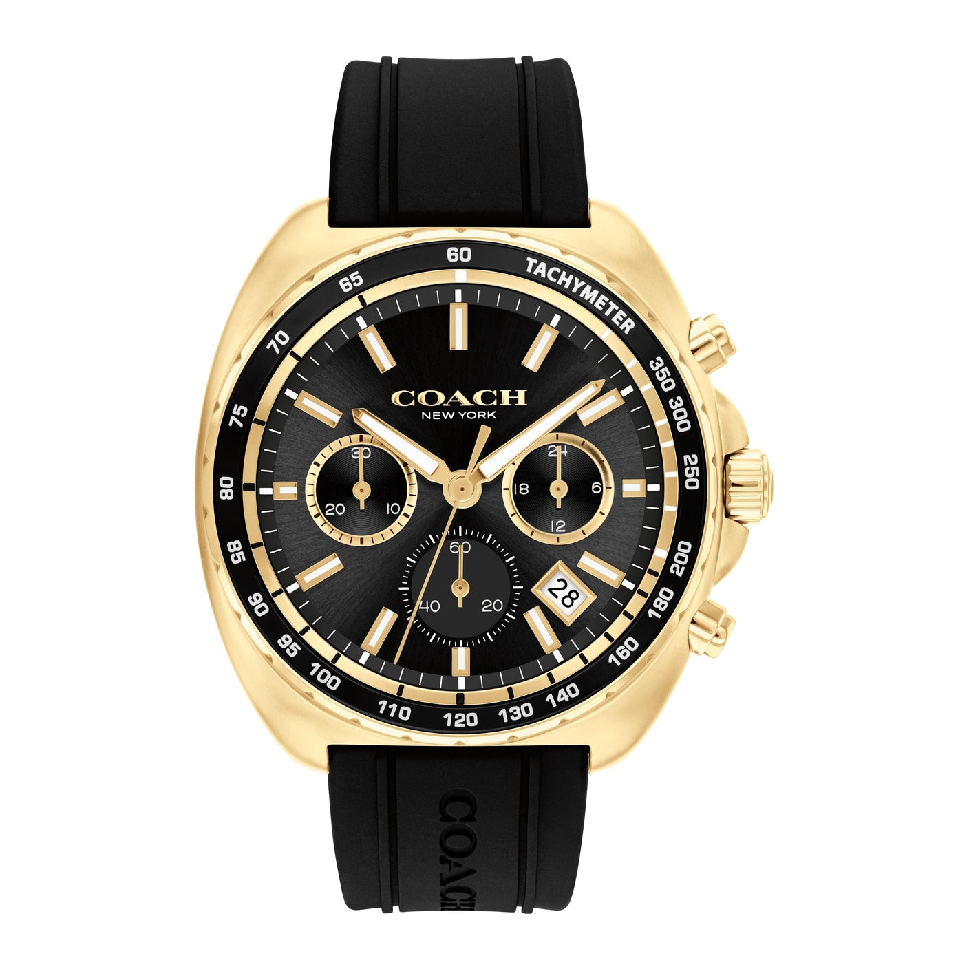 Men's Charter Watch (14602708)