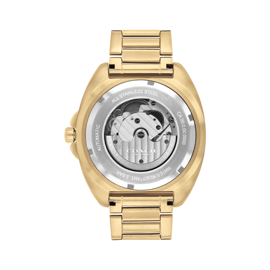 Men's Charter Watch (14602712)