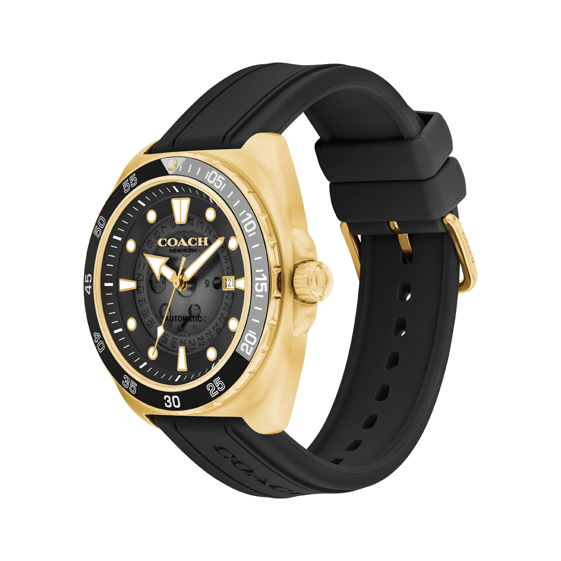 Men's Charter Watch (14602718)