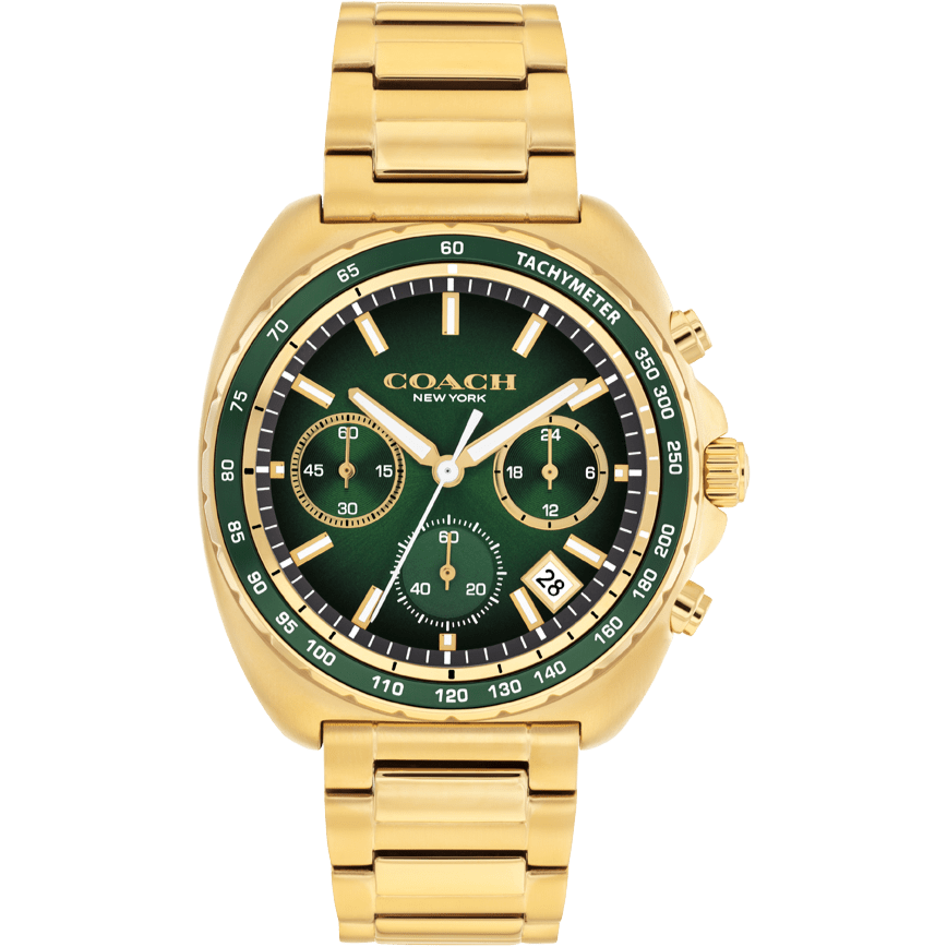 Men's Charter Watch (14602738)