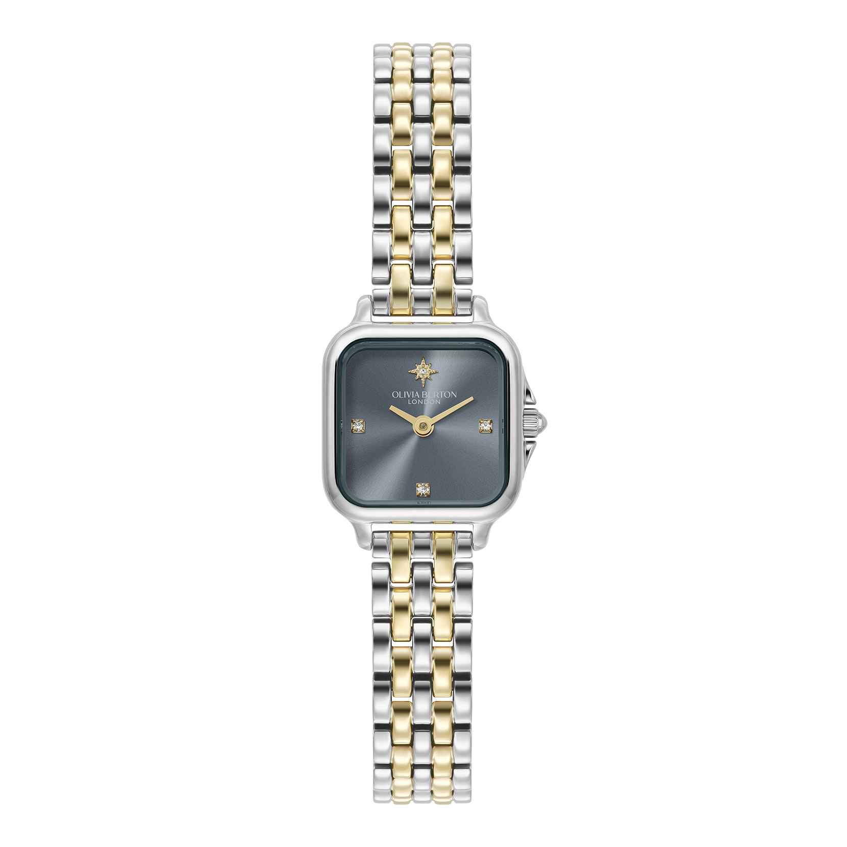Ladies Burton Watch (24000258)