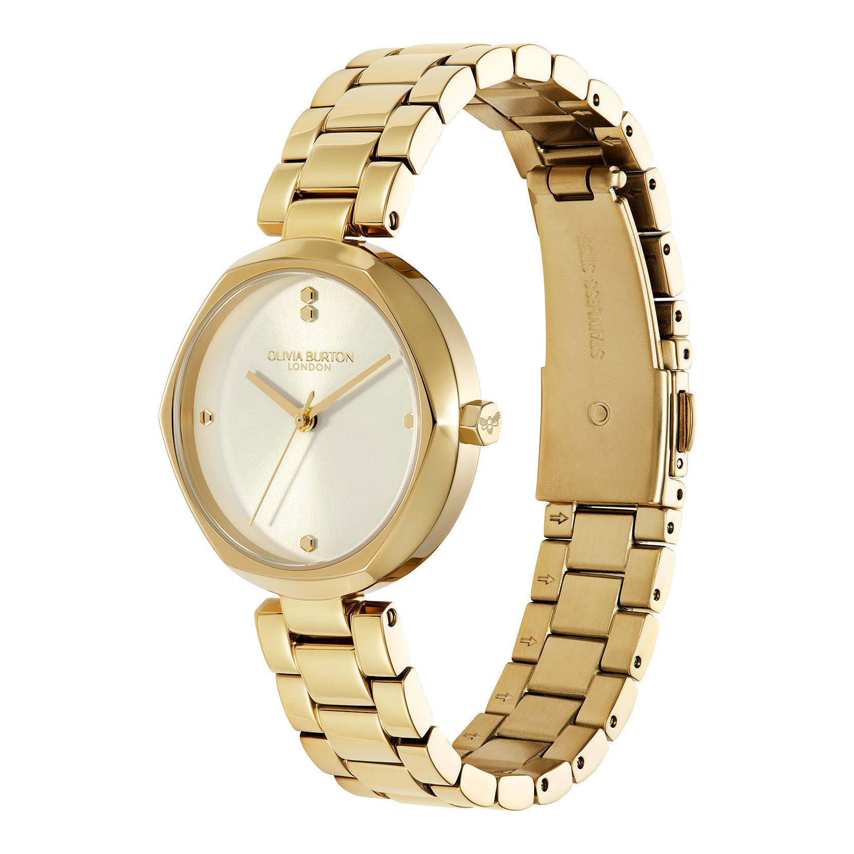 Ladies Modern Classics Dimension Watch (24000260)