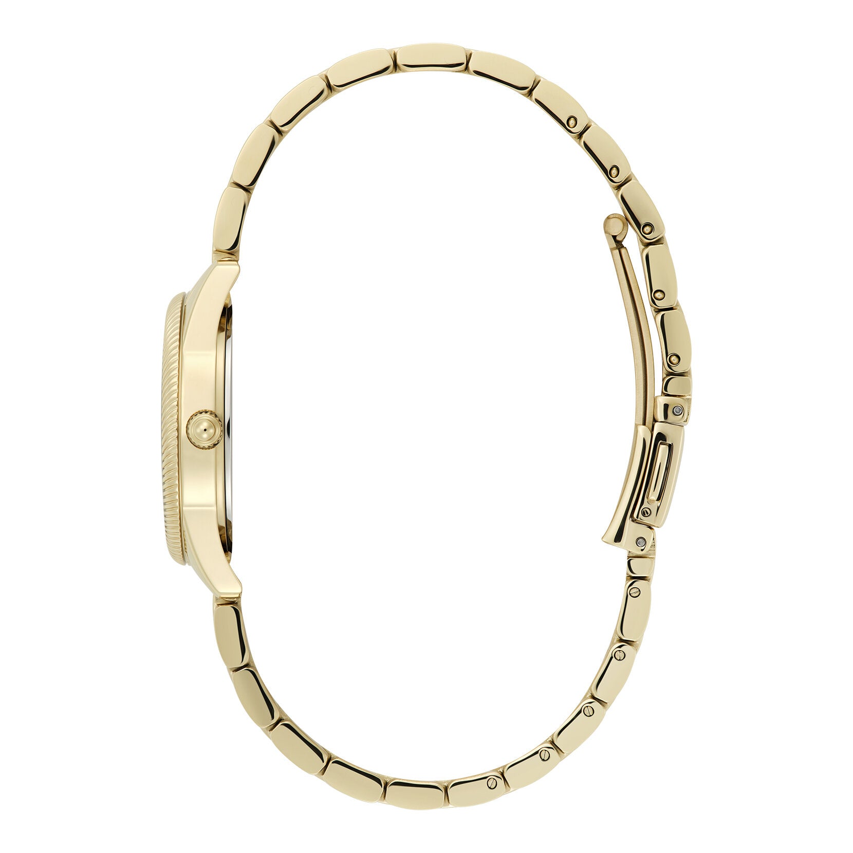 Ladies Sports Luxe 
Ederton Watch (24000290)