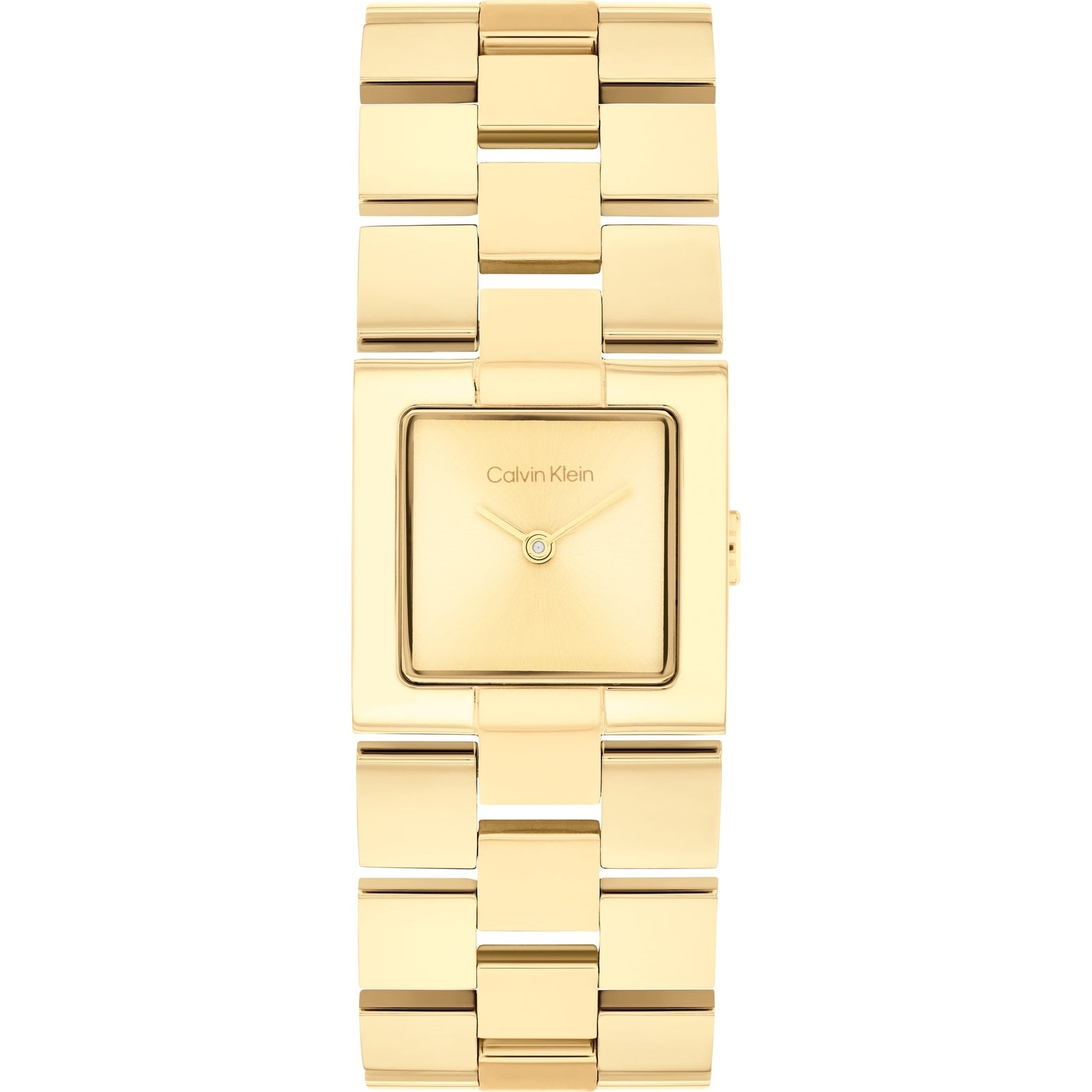 Ladies CK Meridian Watch (25100089)