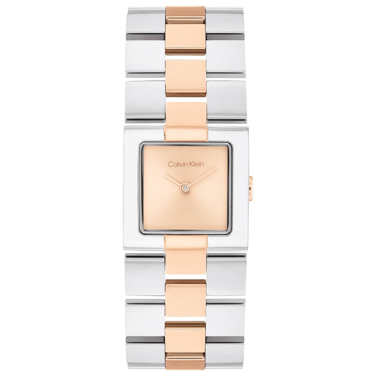 Ladies CK Meridian Watch (25100092)