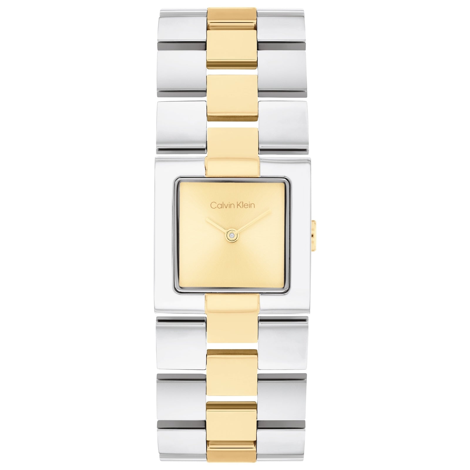 Ladies CK Meridian Watch (25100115)