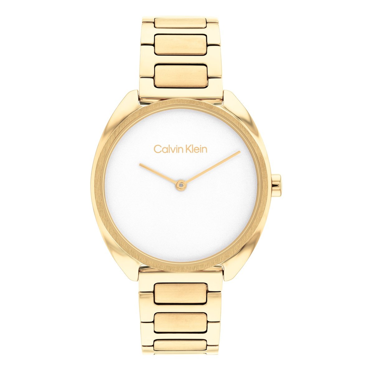 Ladies Adron Watch 25200276