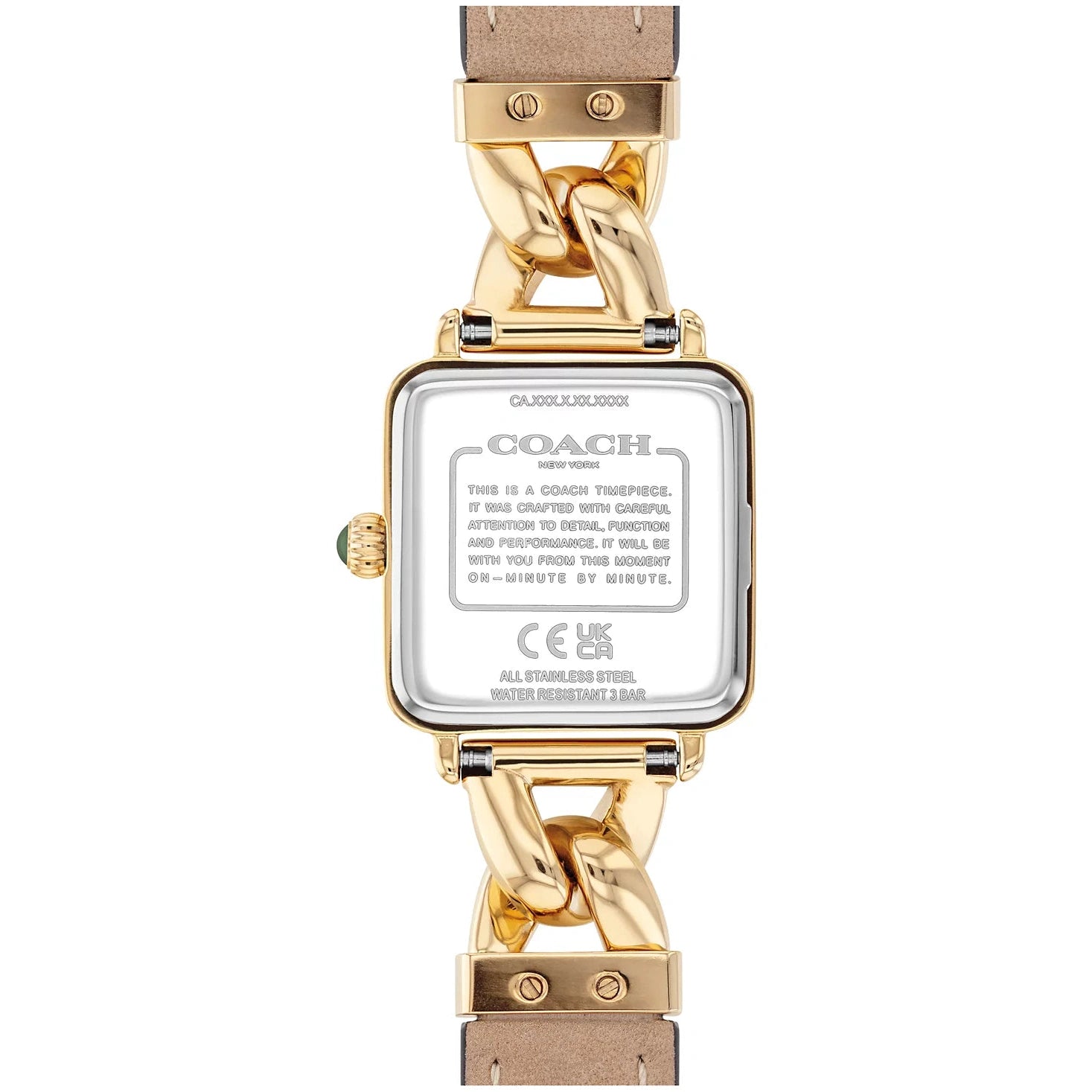 Ladies Cass Watch (14504557)